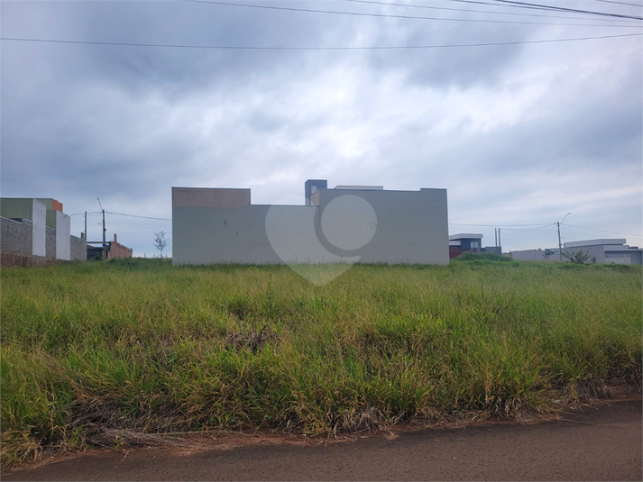 Foto REO1079489