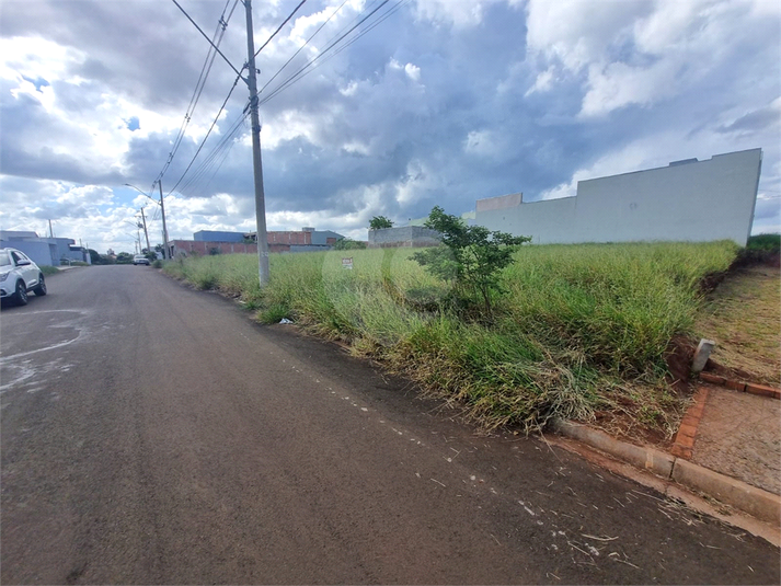 Foto REO1079489
