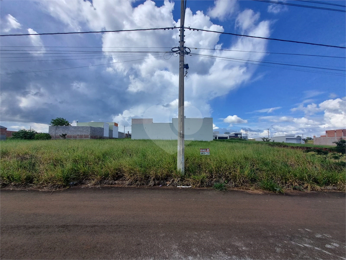 Foto REO1079489