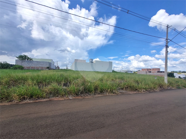 Foto REO1079489