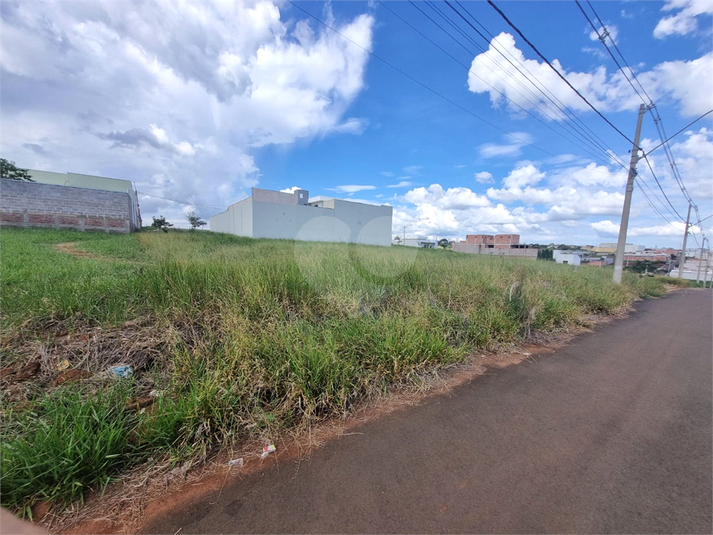 Foto REO1079489