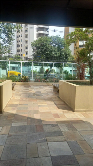 Foto REO1079491