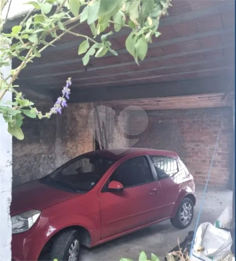 Foto REO1079503