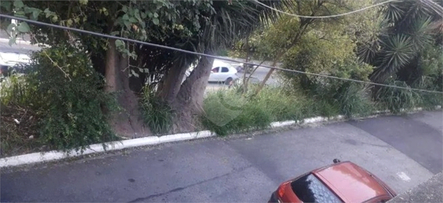 Foto REO1079503