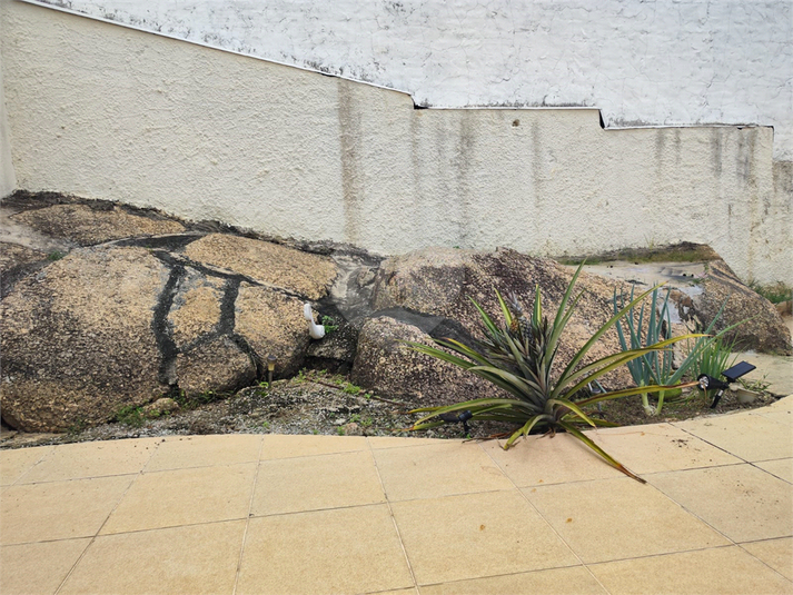 Foto REO1079508
