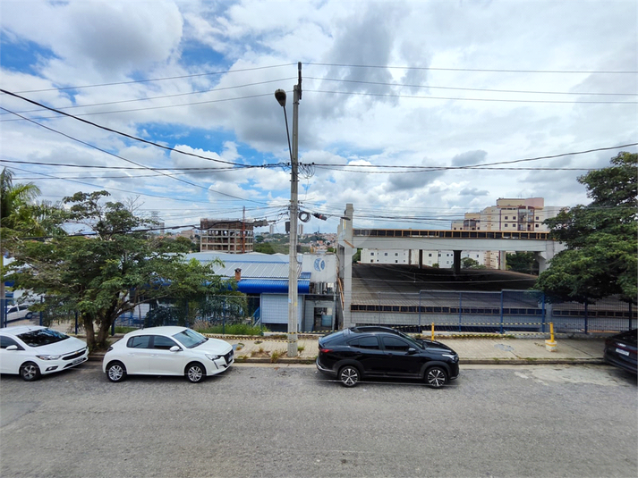Foto REO1079508