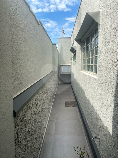 Foto REO1079509