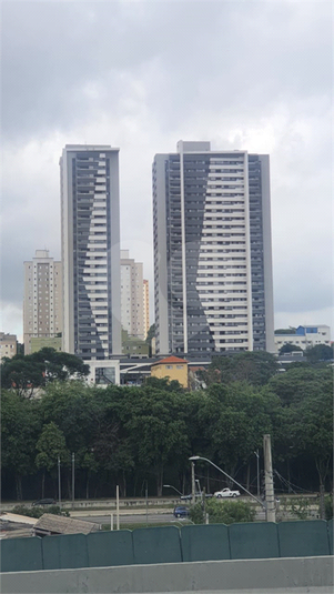 Foto REO1079527