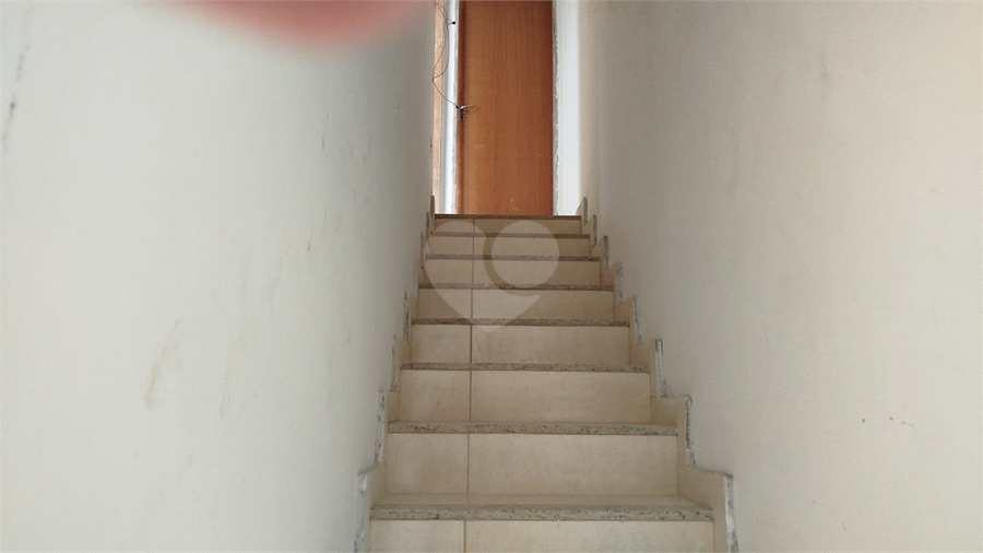 Foto REO1079532