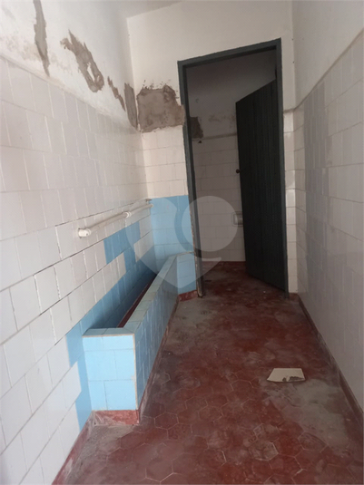 Foto REO1079536