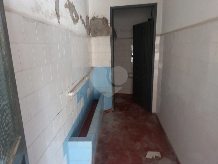 Foto REO1079536