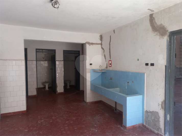 Foto REO1079536