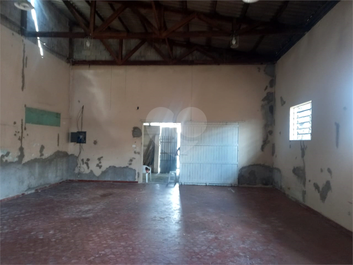 Foto REO1079536