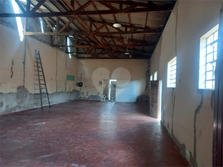 Foto REO1079536