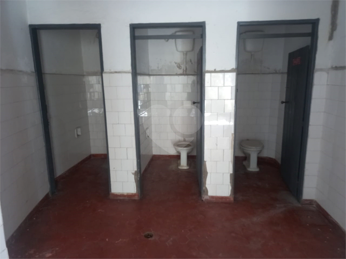 Foto REO1079536