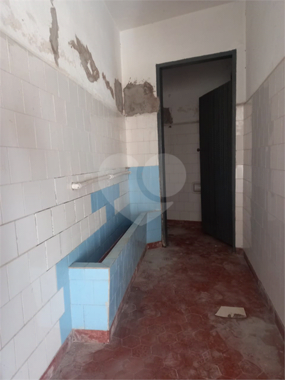 Foto REO1079536