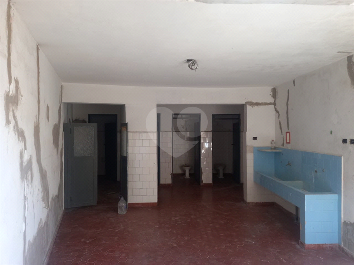 Foto REO1079536