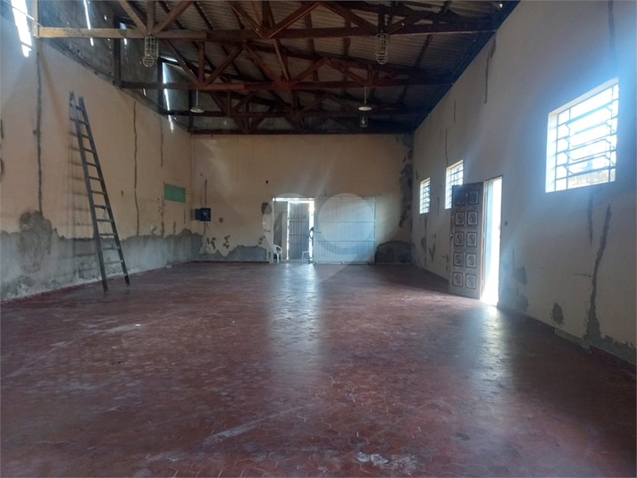 Foto REO1079536