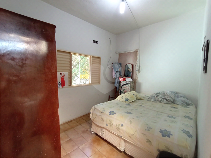 Foto REO1079539