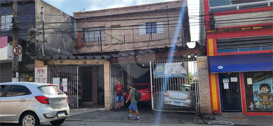 Foto REO1079544