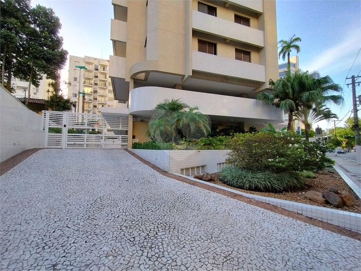Foto REO1079547