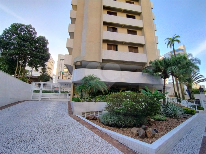 Foto REO1079547