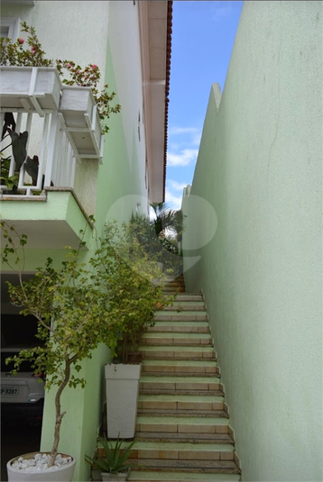 Foto REO1079552