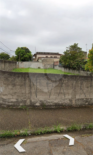 Foto REO1079572