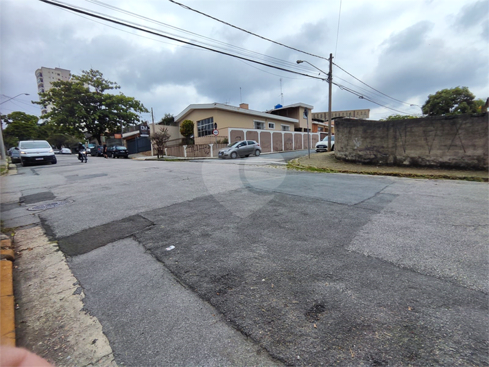 Foto REO1079572