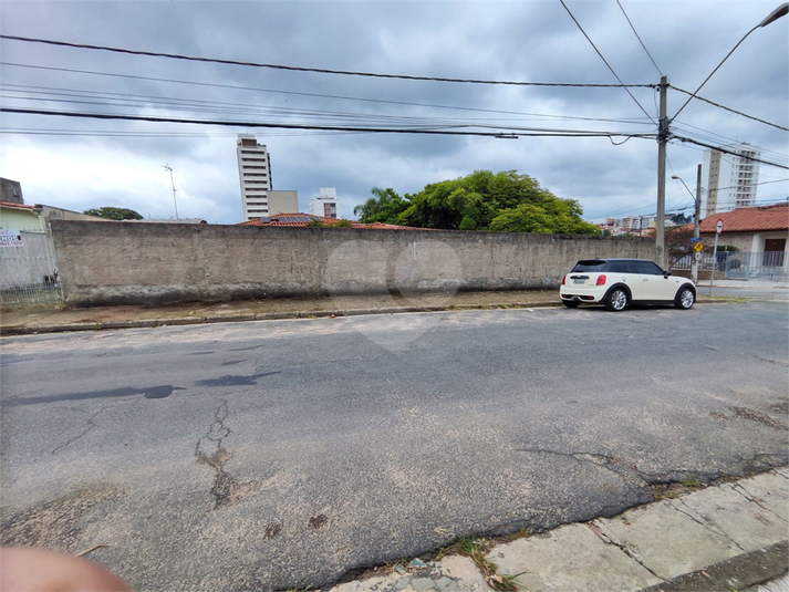 Foto REO1079572