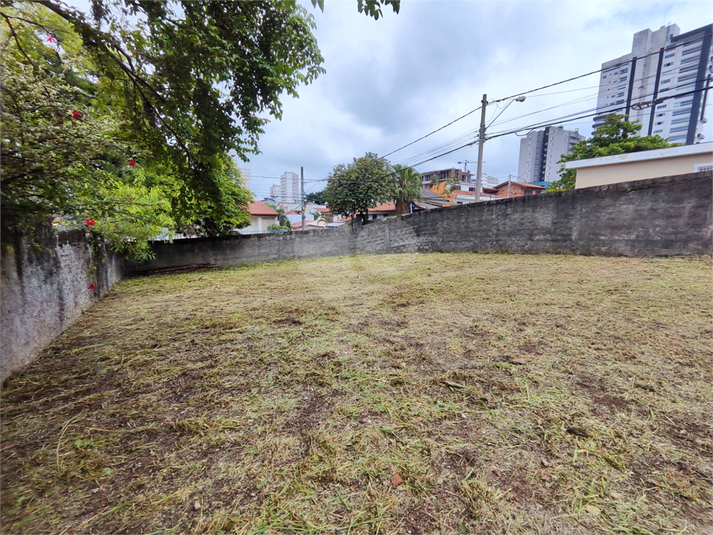 Foto REO1079572