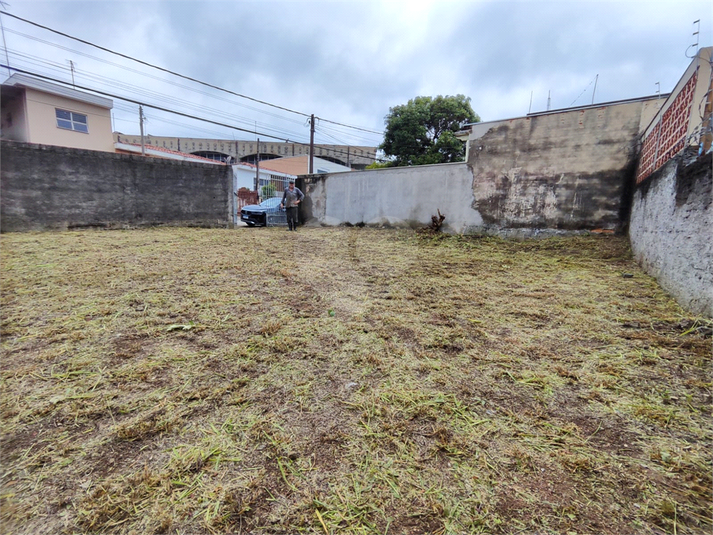Foto REO1079572