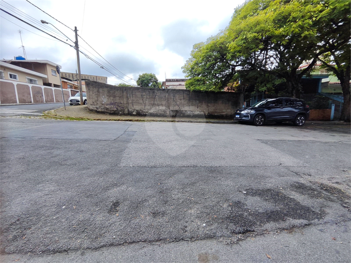 Foto REO1079572