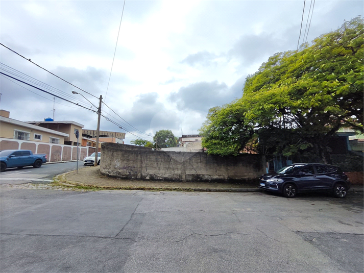 Foto REO1079572