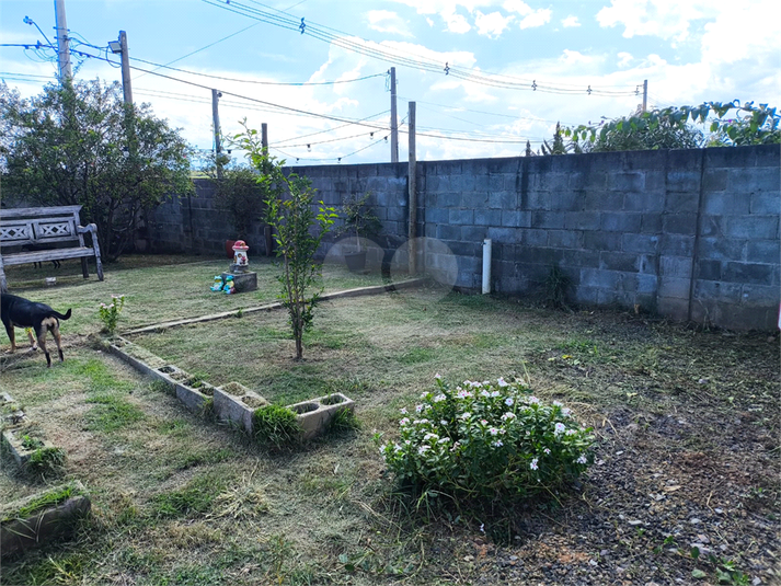 Foto REO1079573
