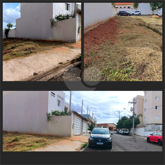 Foto REO1079590