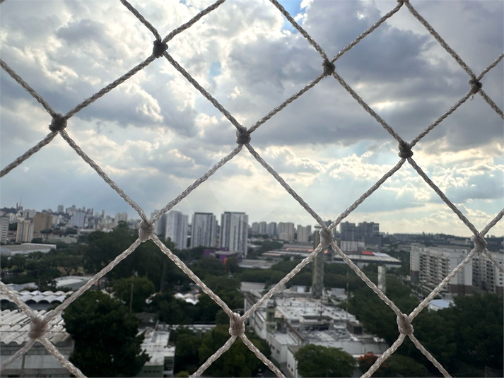 Foto REO1079594