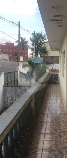 Foto REO1079606