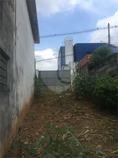 Foto REO1079606
