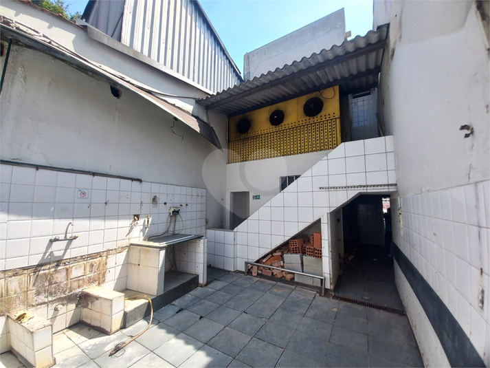 Foto REO1079610