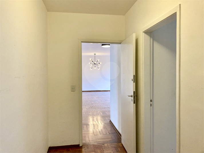 Foto REO1079624