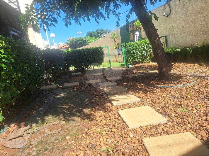 Foto REO1079636