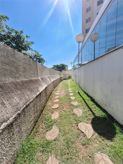 Foto REO1079636