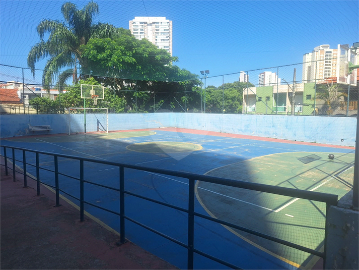 Foto REO1079636