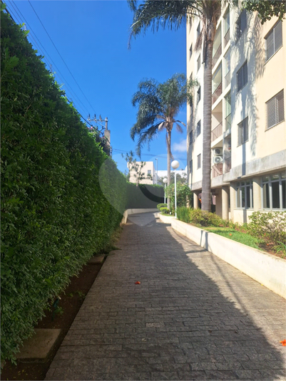 Foto REO1079636