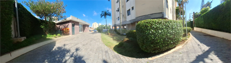 Foto REO1079636