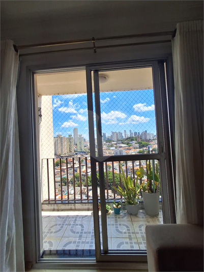 Foto REO1079636