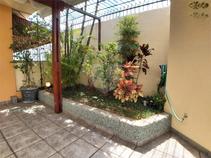 Foto REO1079639