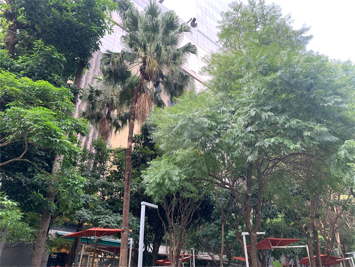 Foto REO1079651