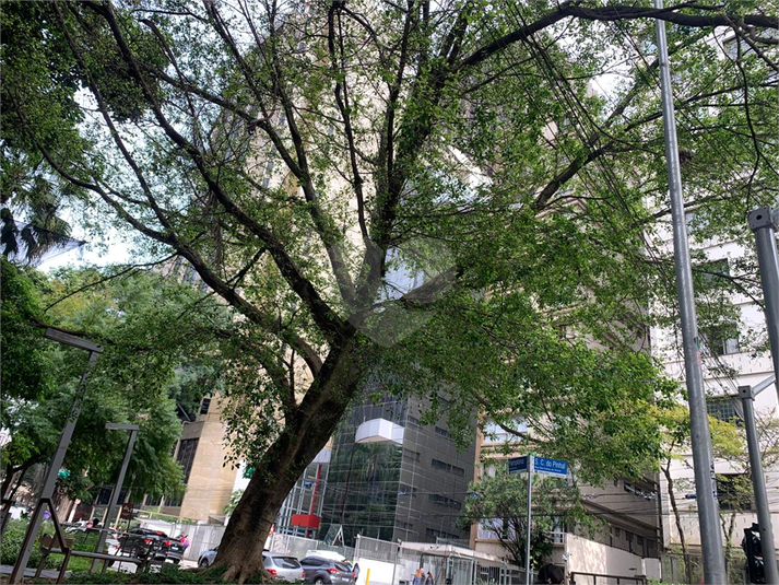 Foto REO1079651